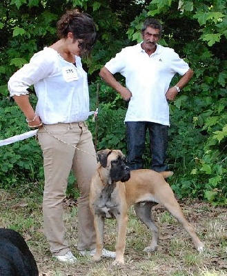 Dei Gladiatori Di Lou Ambra - RESULTATS VENTABREN 12 JUIN 2011